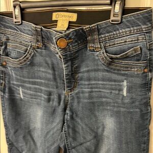 Democracy Blue Skinny Jeans with Distressed Details